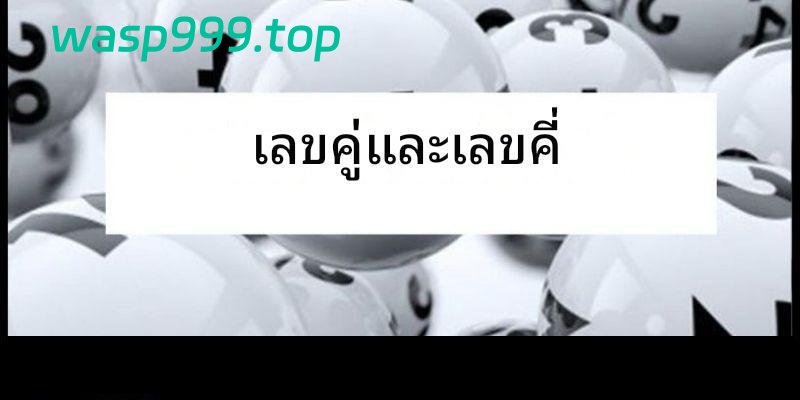 ค้นพบวิธีจับเลขคู่และเลขคี่เพื่อคว้าชัยชนะครั้งใหญ่กับผู้เชี่ยวชาญ 3